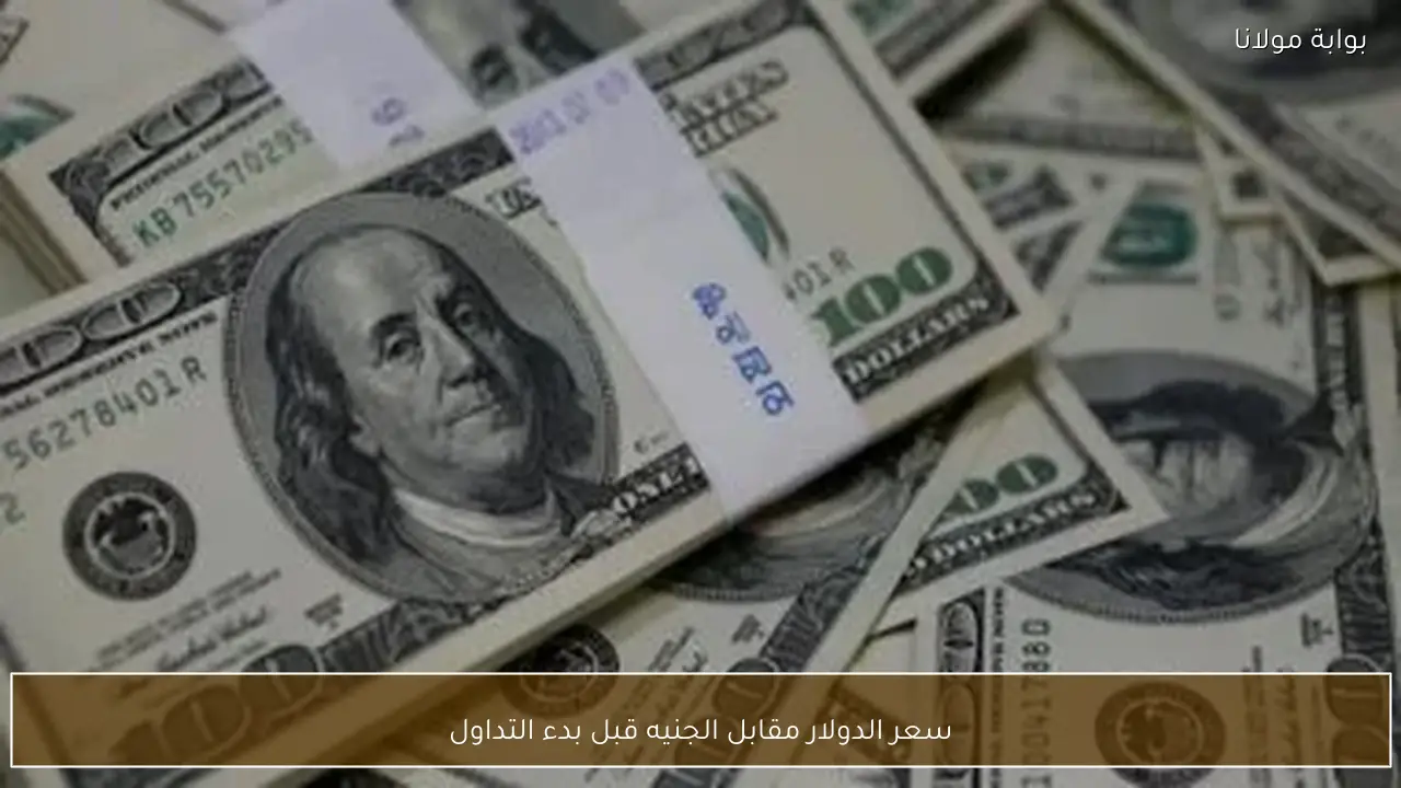 سعر الدولار مقابل الجنيه قبل بدء التداول