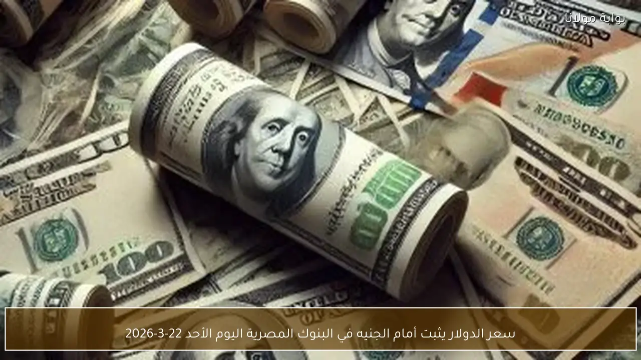 سعر الدولار يثبت أمام الجنيه في البنوك المصرية اليوم الأحد 22-3-2026