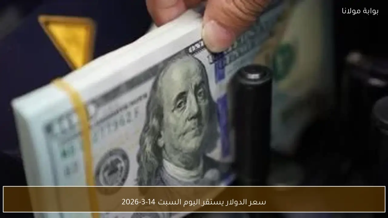 سعر الدولار يستقر اليوم السبت 14-3-2026
