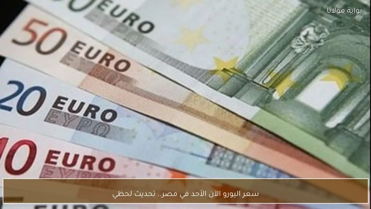 سعر اليورو الآن الأحد في مصر.. تحديث لحظي