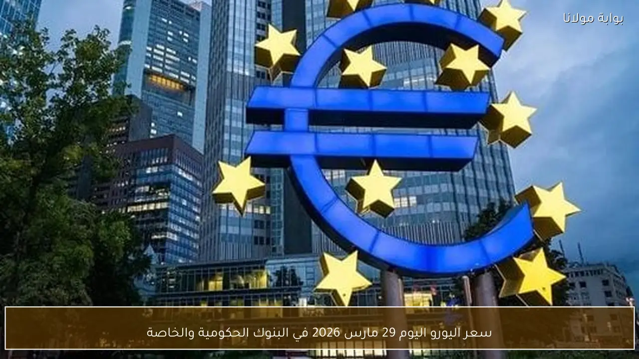 سعر اليورو اليوم 29 مارس 2026 في البنوك الحكومية والخاصة