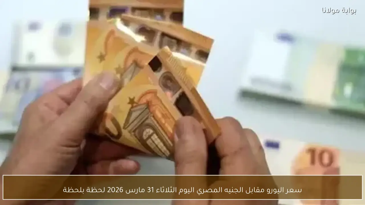 سعر اليورو مقابل الجنيه المصري اليوم الثلاثاء 31 مارس 2026 لحظة بلحظة