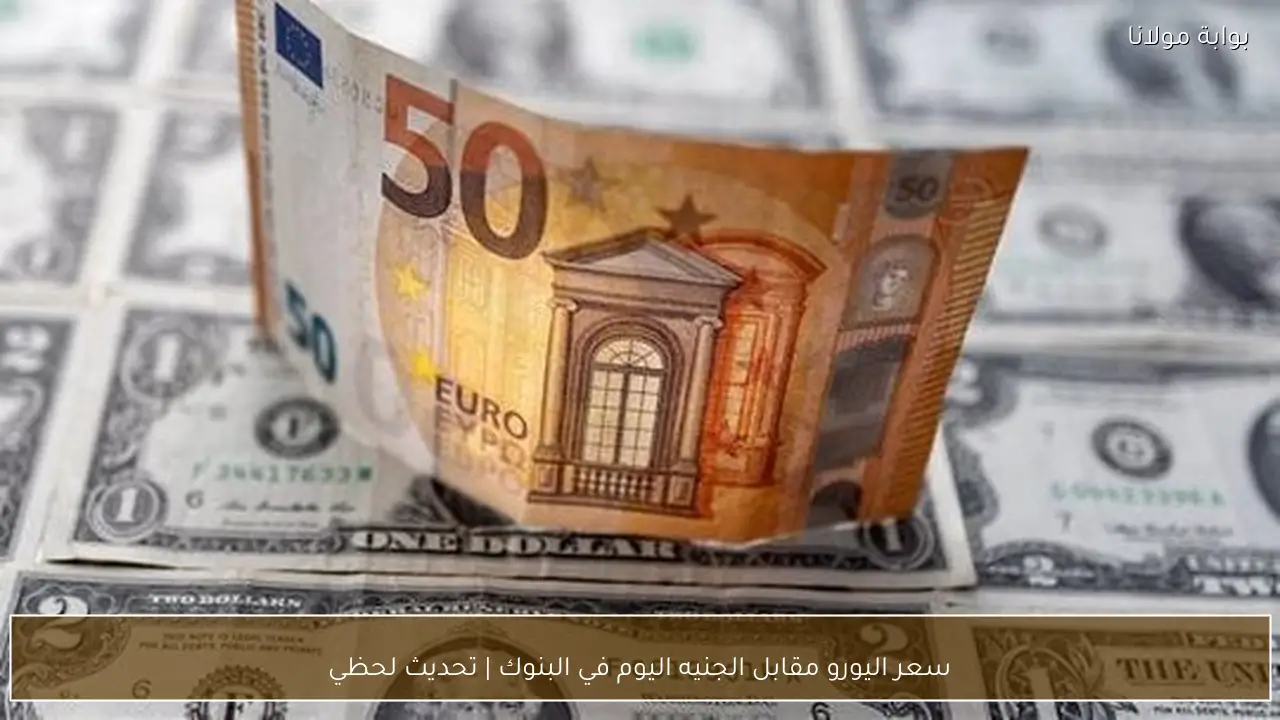 سعر اليورو مقابل الجنيه اليوم في البنوك | تحديث لحظي