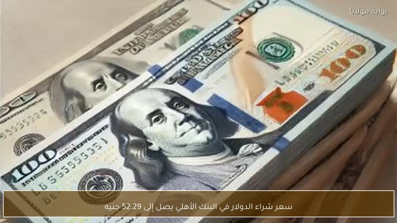 سعر شراء الدولار في البنك الأهلي يصل إلى 52.29 جنيه