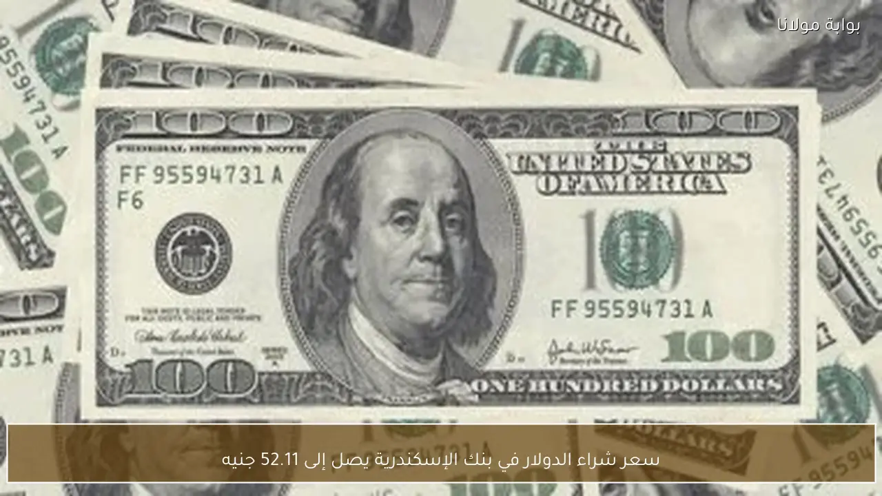 سعر شراء الدولار في بنك الإسكندرية يصل إلى 52.11 جنيه