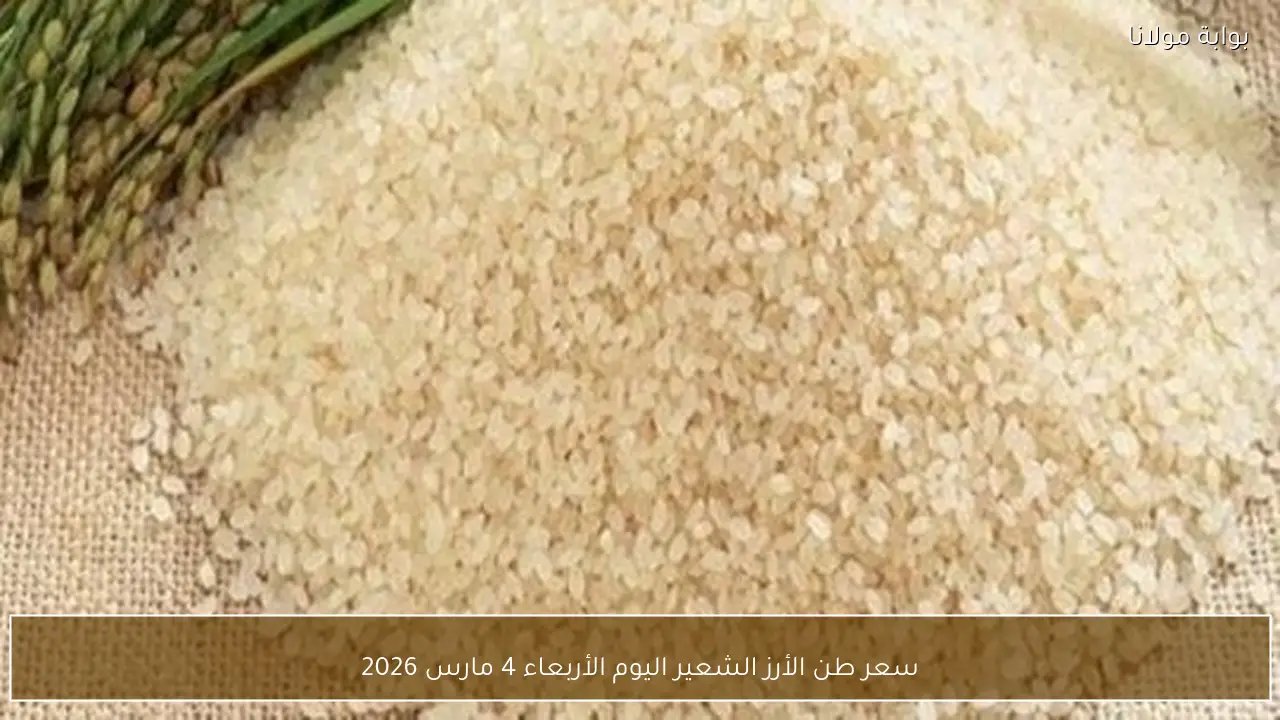 سعر طن الأرز الشعير اليوم الأربعاء 4 مارس 2026
