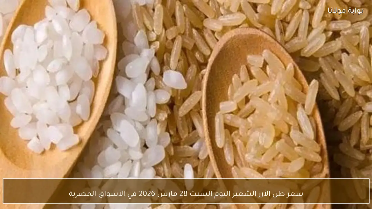 سعر طن الأرز الشعير اليوم السبت 28 مارس 2026 في الأسواق المصرية
