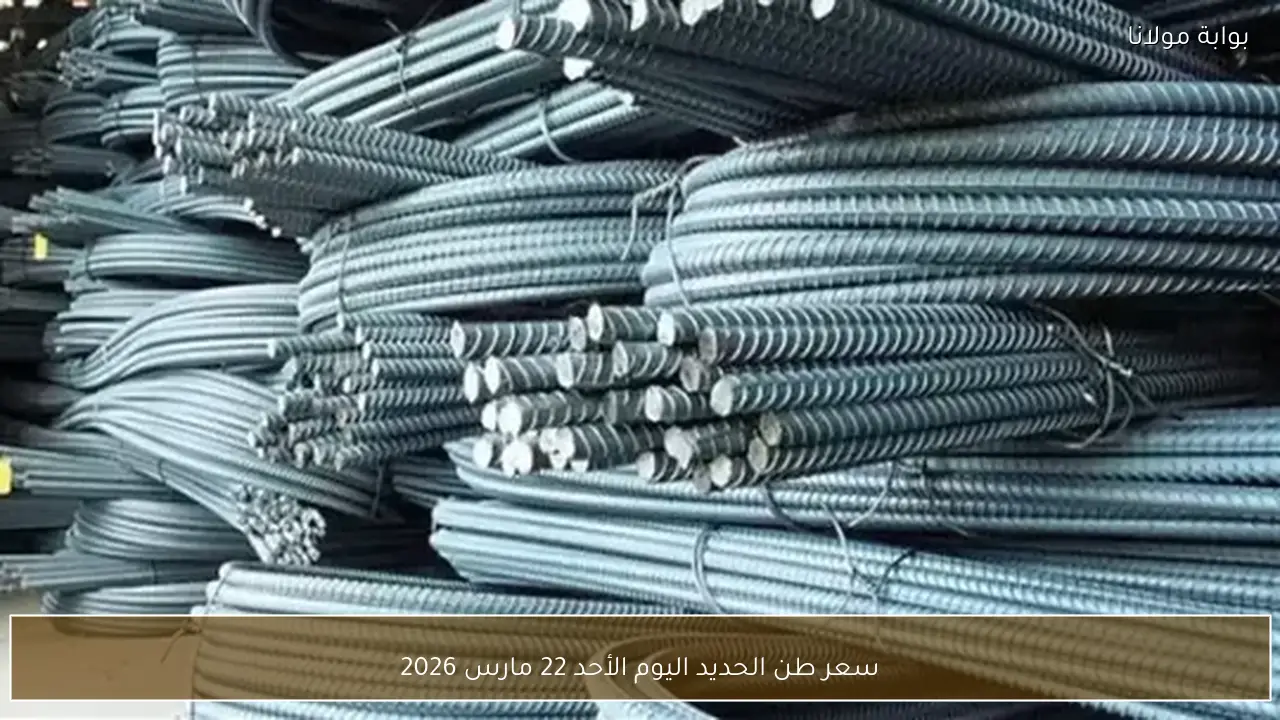 سعر طن الحديد اليوم الأحد 22 مارس 2026