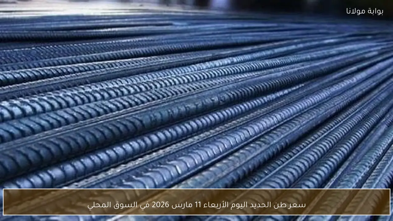 سعر طن الحديد اليوم الأربعاء 11 مارس 2026 في السوق المحلي