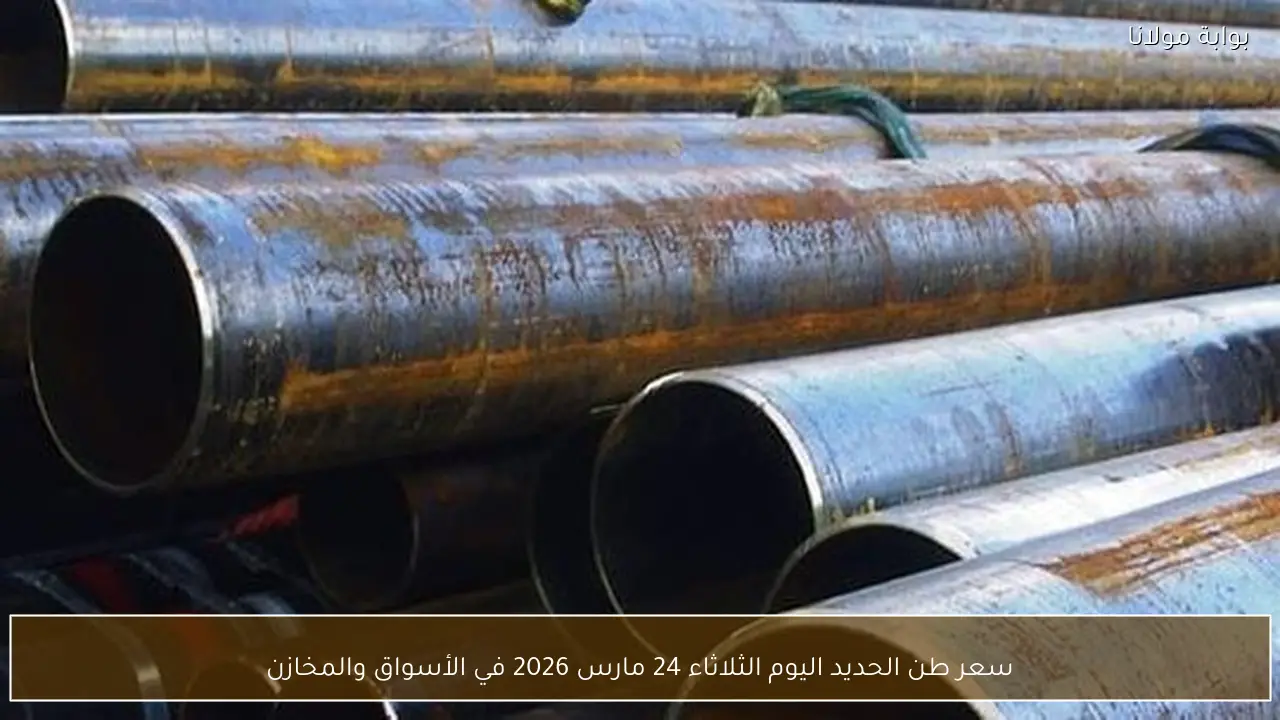 سعر طن الحديد اليوم الثلاثاء 24 مارس 2026 في الأسواق والمخازن