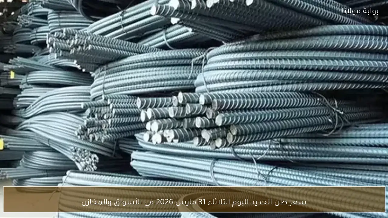 سعر طن الحديد اليوم الثلاثاء 31 مارس 2026 في الأسواق والمخازن