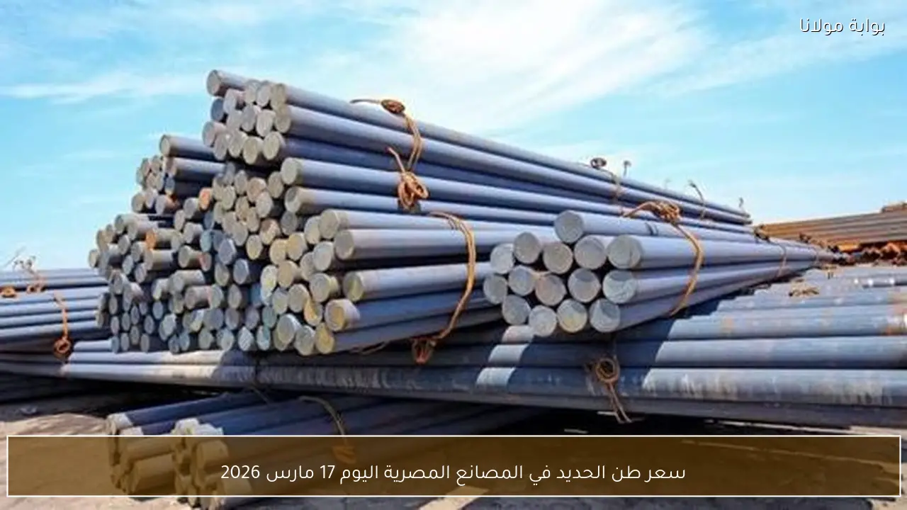 سعر طن الحديد في المصانع المصرية اليوم 17 مارس 2026
