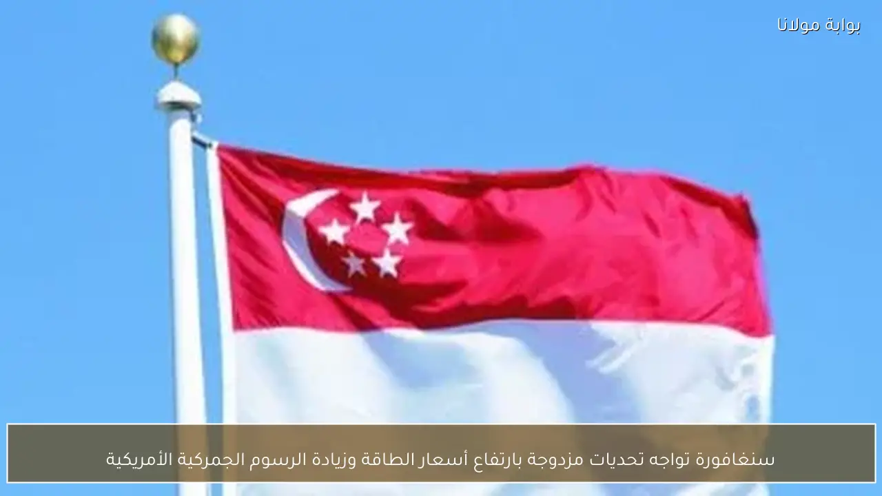 سنغافورة تواجه تحديات مزدوجة بارتفاع أسعار الطاقة وزيادة الرسوم الجمركية الأمريكية