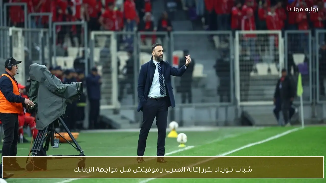 شباب بلوزداد يقرر إقالة المدرب راموفيتش قبل مواجهة الزمالك