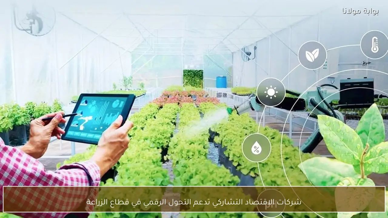 شركات الاقتصاد التشاركي تدعم التحول الرقمي في قطاع الزراعة