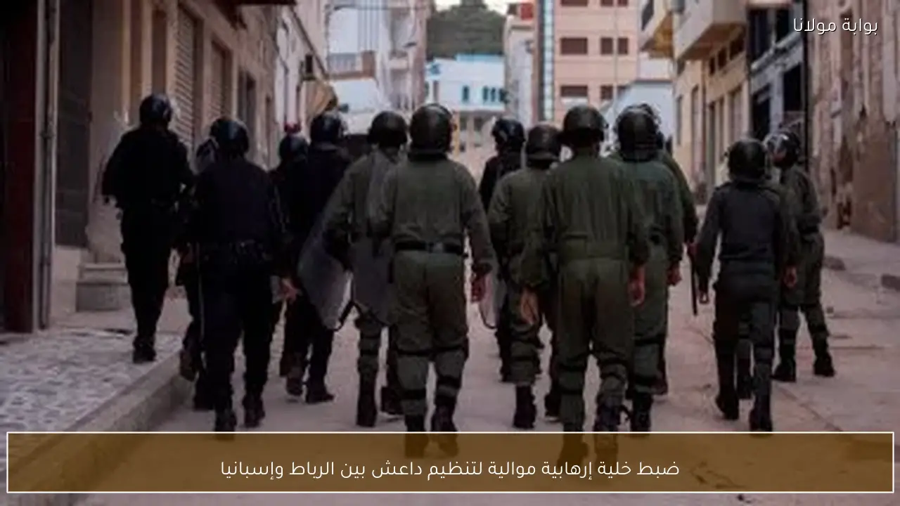 ضبط خلية إرهابية موالية لتنظيم داعش بين الرباط وإسبانيا