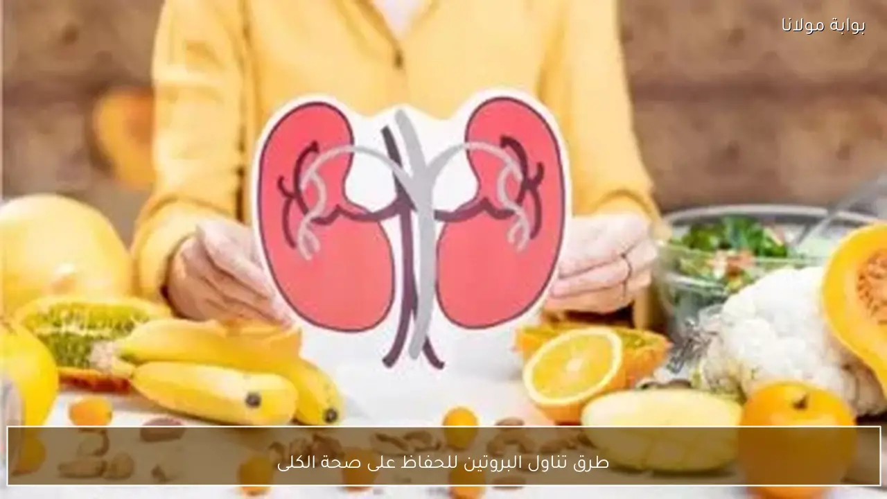 طرق تناول البروتين للحفاظ على صحة الكلى