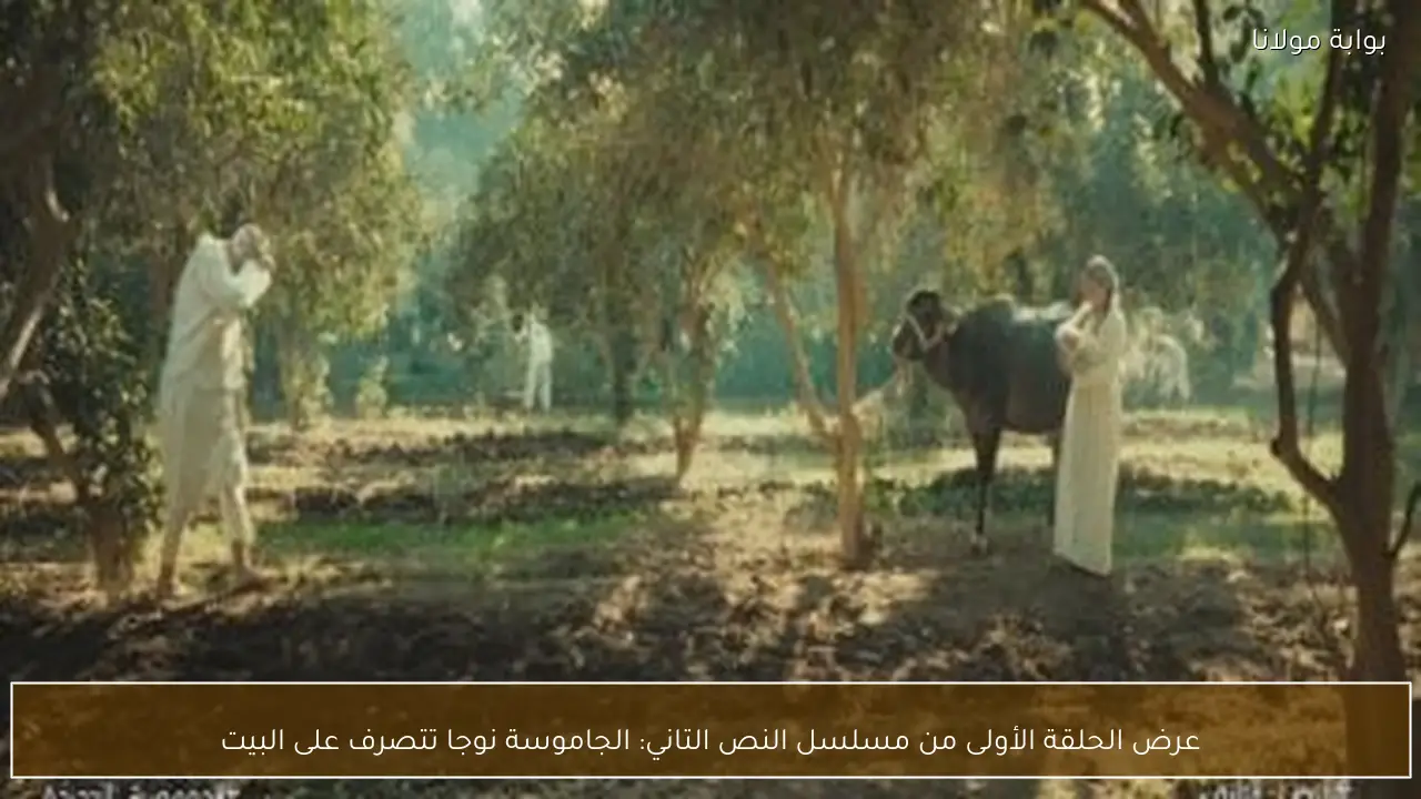 عرض الحلقة الأولى من مسلسل النص التاني: الجاموسة نوجا تتصرف على البيت