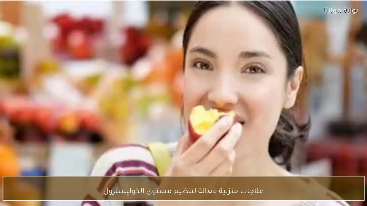 علاجات منزلية فعالة لتنظيم مستوى الكوليسترول