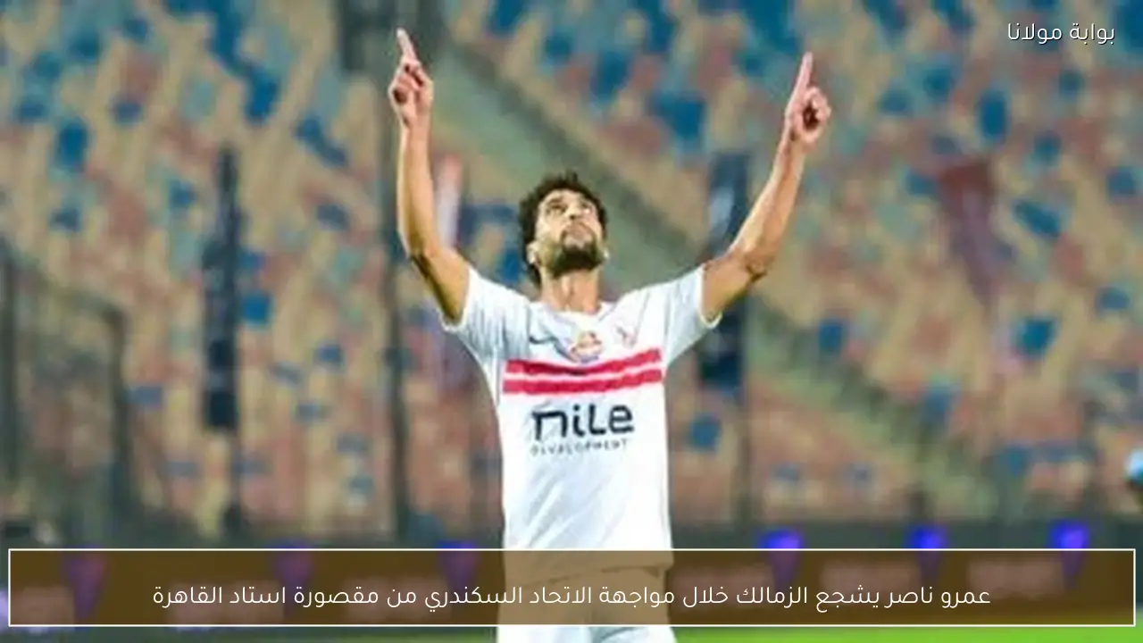 عمرو ناصر يشجع الزمالك خلال مواجهة الاتحاد السكندري من مقصورة استاد القاهرة