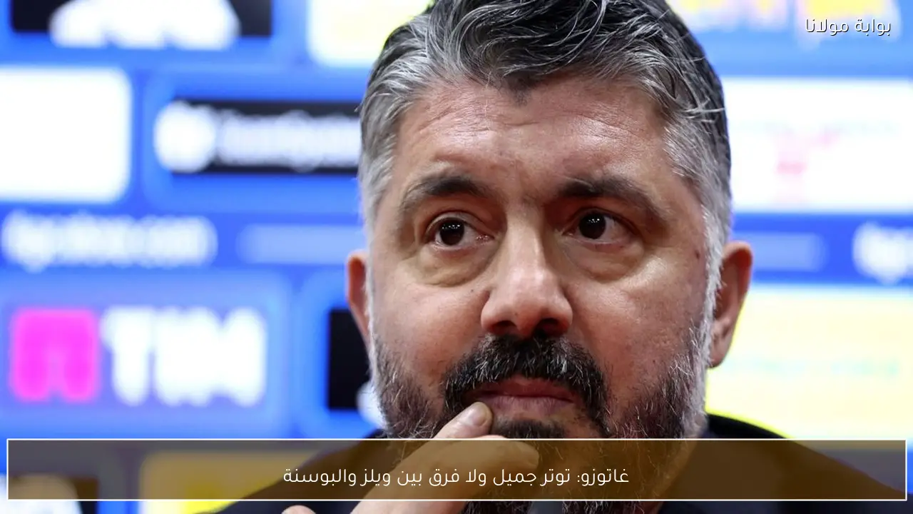 غاتوزو: توتر جميل ولا فرق بين ويلز والبوسنة