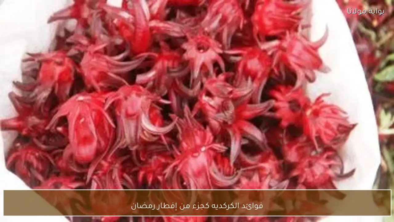 فوائد الكركديه كجزء من إفطار رمضان