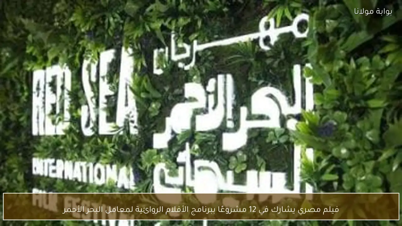 فيلم مصري يشارك في 12 مشروعًا ببرنامج الأفلام الروائية لمعامل البحر الأحمر