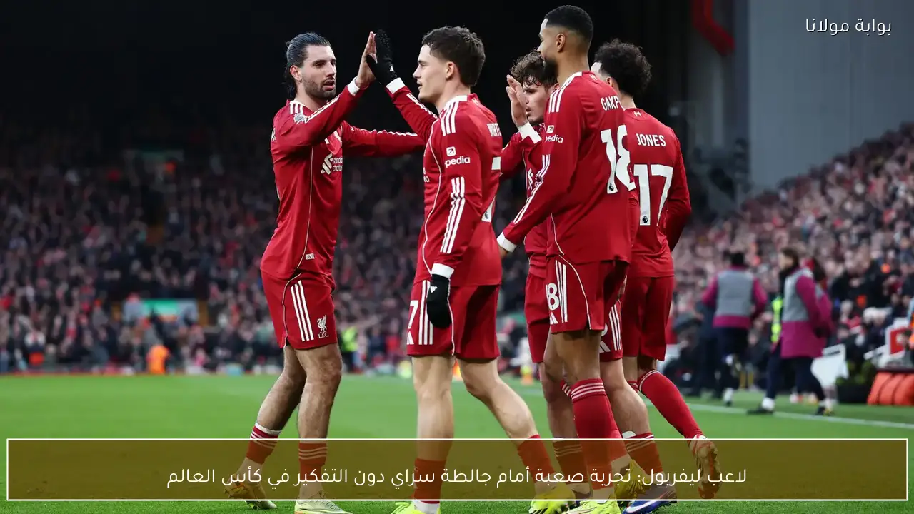 لاعب ليفربول: تجربة صعبة أمام جالطة سراي دون التفكير في كأس العالم