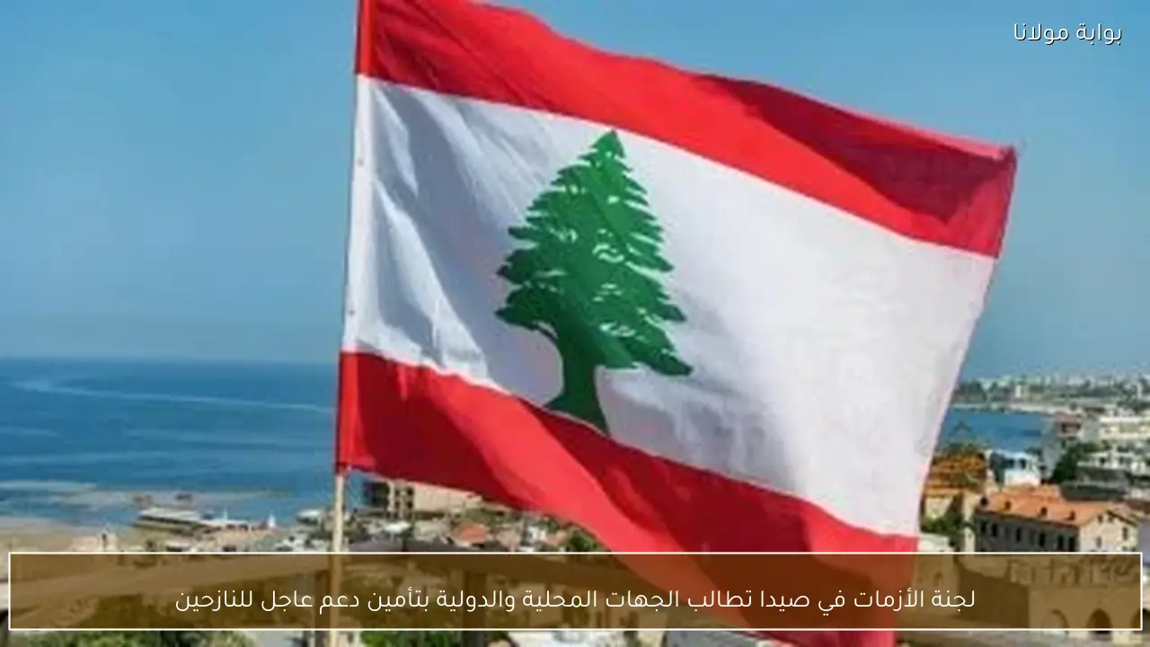 لجنة الأزمات في صيدا تطالب الجهات المحلية والدولية بتأمين دعم عاجل للنازحين