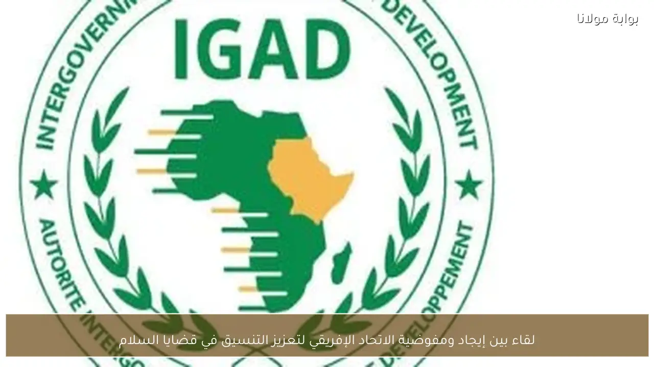 لقاء بين إيجاد ومفوضية الاتحاد الإفريقي لتعزيز التنسيق في قضايا السلام