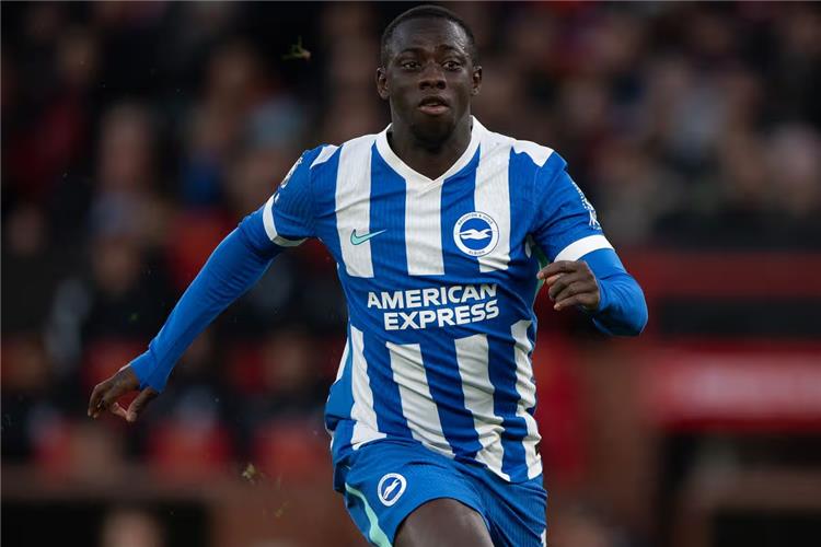 يانكوبا مينته