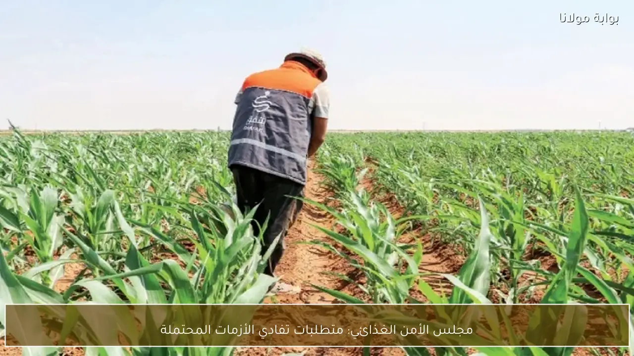 مجلس الأمن الغذائي: متطلبات تفادي الأزمات المحتملة