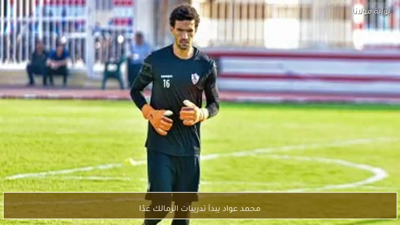 محمد عواد يبدأ تدريبات الزمالك غدًا