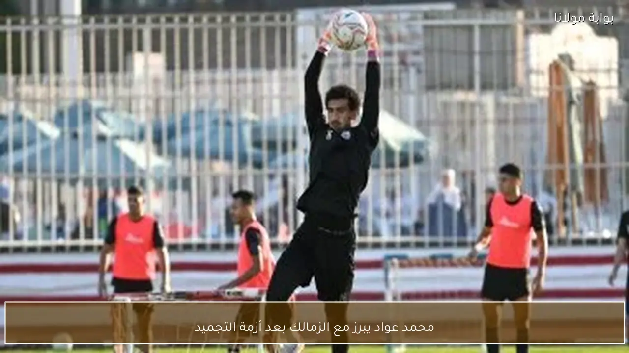 محمد عواد يبرز مع الزمالك بعد أزمة التجميد