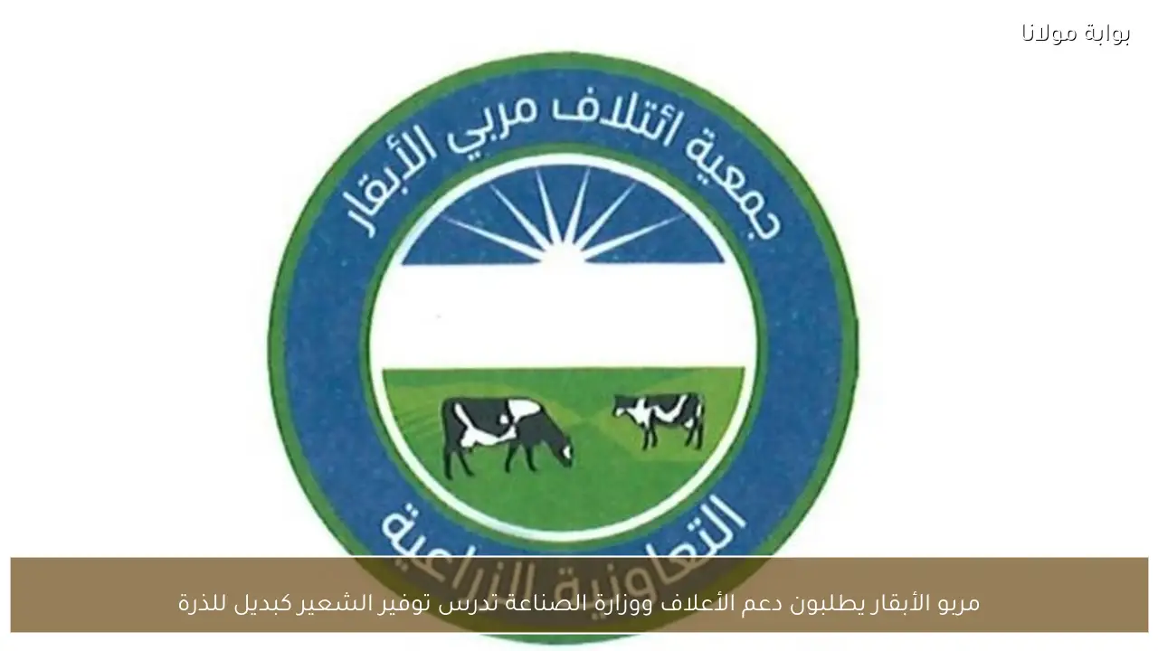 مربو الأبقار يطلبون دعم الأعلاف ووزارة الصناعة تدرس توفير الشعير كبديل للذرة