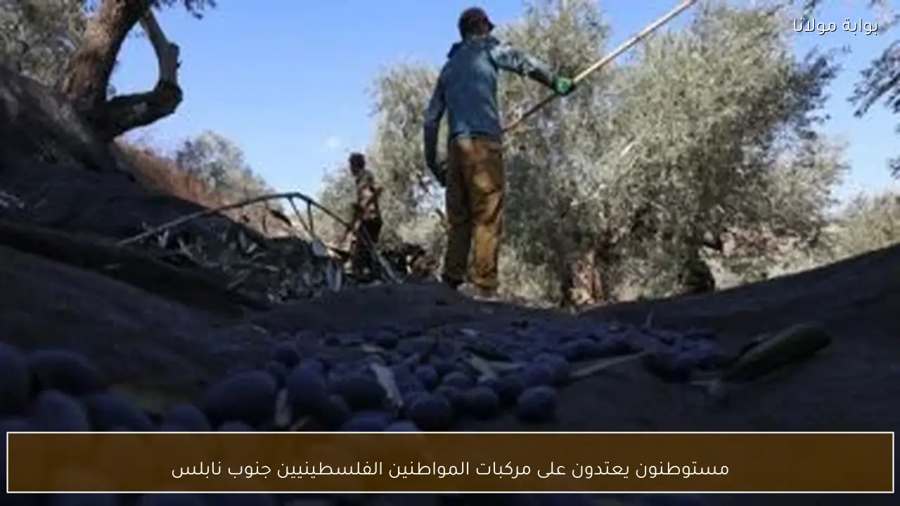 مستوطنون يعتدون على مركبات المواطنين الفلسطينيين جنوب نابلس