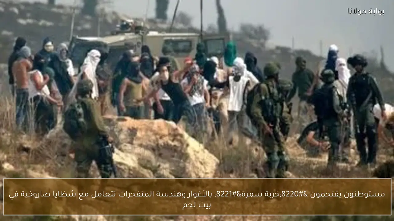 مستوطنون يقتحمون “خربة سمرة” بالأغوار وهندسة المتفجرات تتعامل مع شظايا صاروخية في بيت لحم