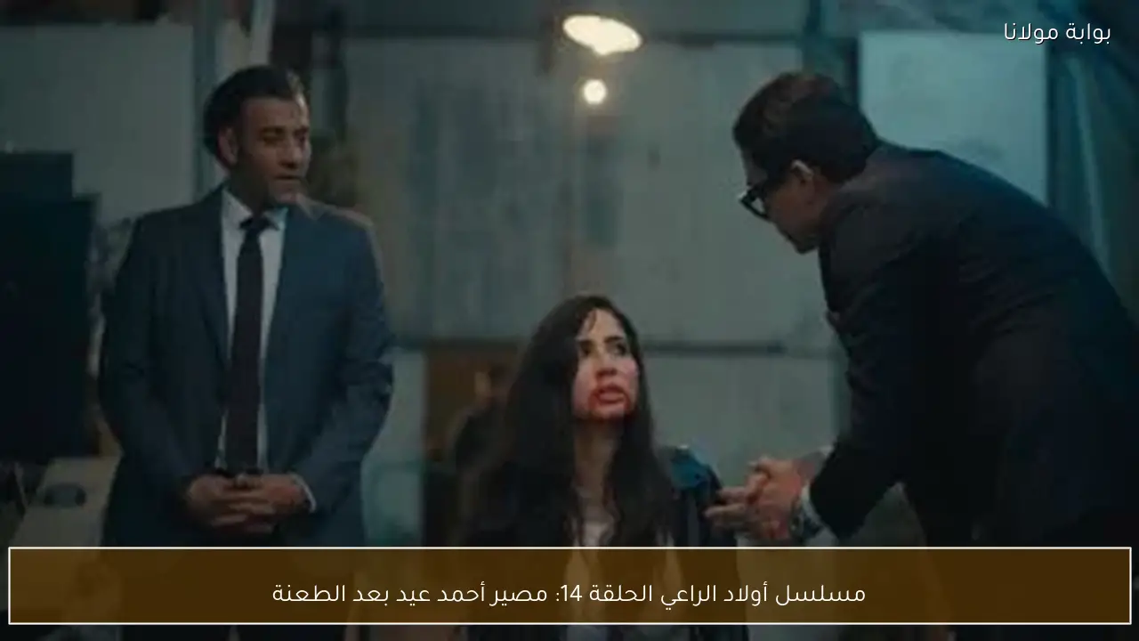 مسلسل أولاد الراعي الحلقة 14: مصير أحمد عيد بعد الطعنة