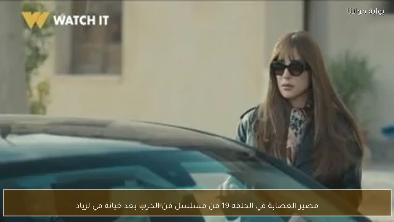 مصير العصابة في الحلقة 19 من مسلسل فن الحرب بعد خيانة مي لزياد