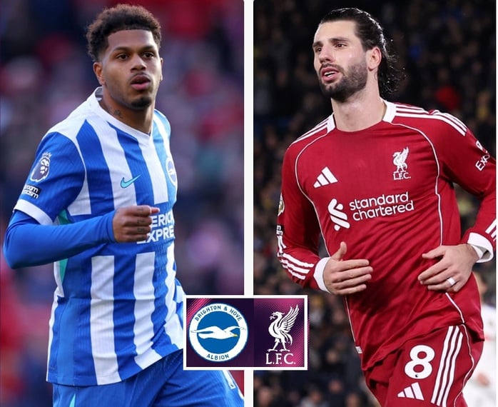 Soi tỉ số trận Brighton – Liverpool: Căng thẳng cuộc chiến ở sân Amex - Ảnh 1.