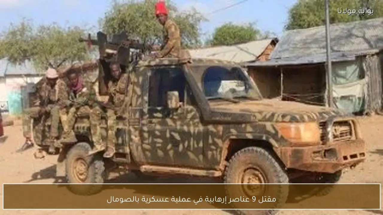 مقتل 9 عناصر إرهابية في عملية عسكرية بالصومال