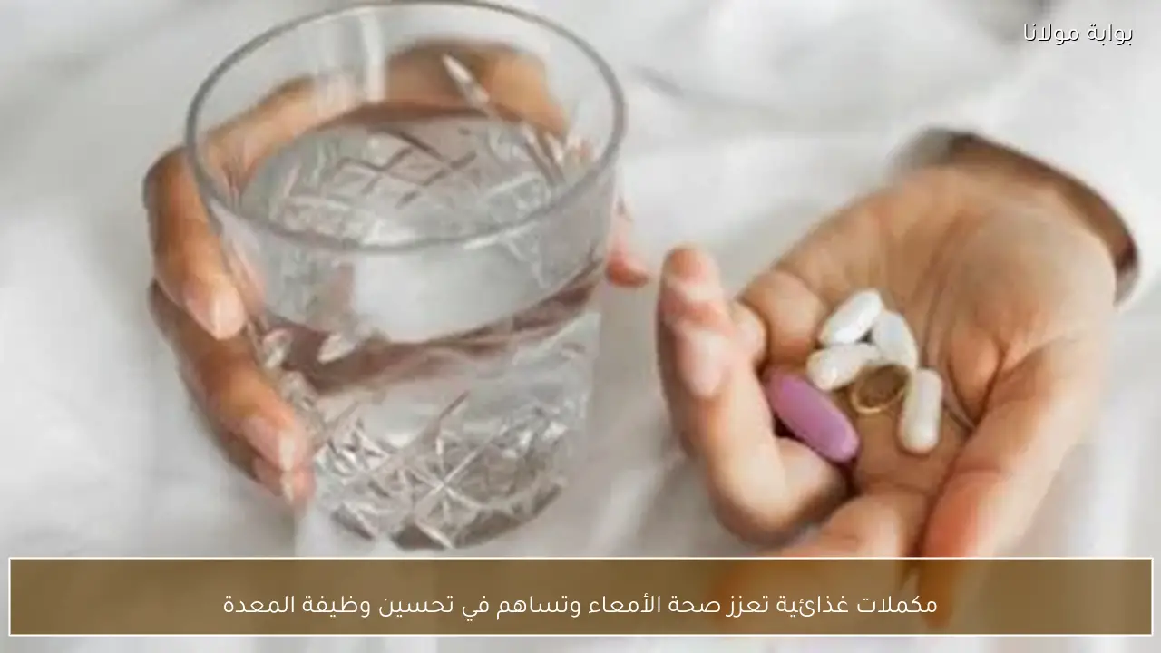 مكملات غذائية تعزز صحة الأمعاء وتساهم في تحسين وظيفة المعدة