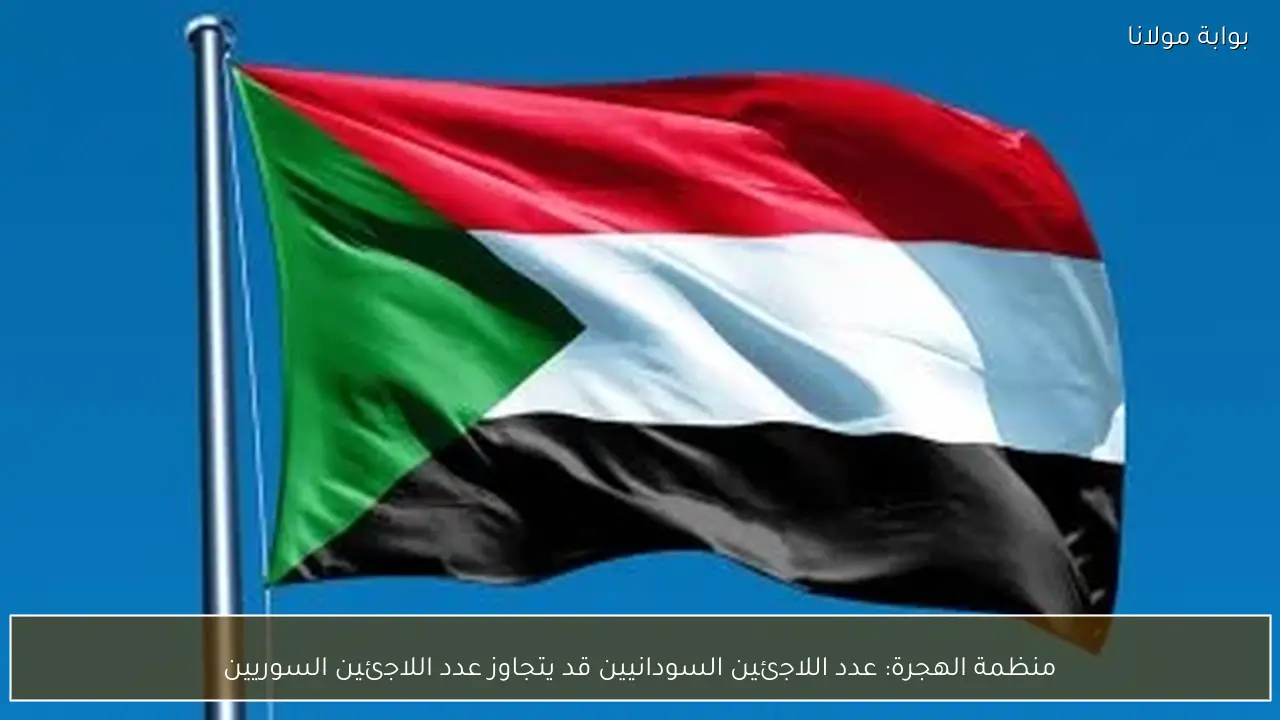 منظمة الهجرة: عدد اللاجئين السودانيين قد يتجاوز عدد اللاجئين السوريين