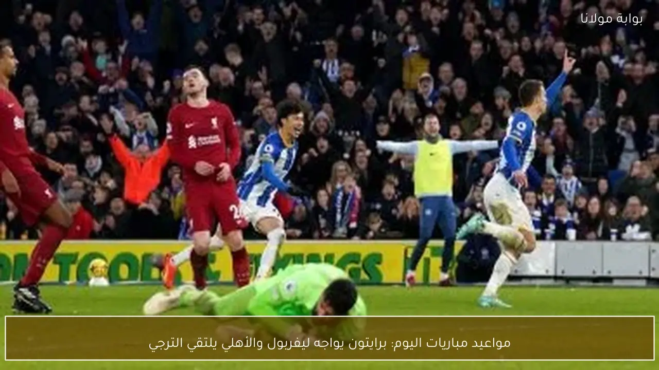 مواعيد مباريات اليوم: برايتون يواجه ليفربول والأهلي يلتقي الترجي