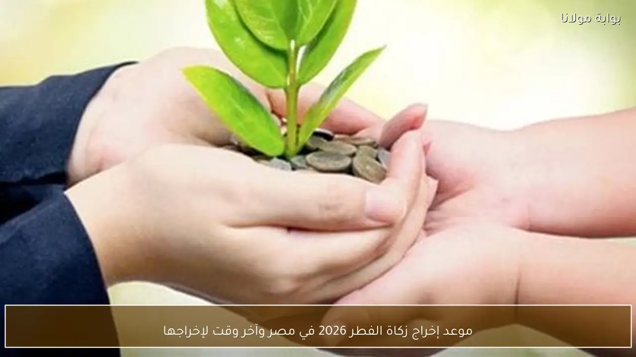 موعد إخراج زكاة الفطر 2026 في مصر وآخر وقت لإخراجها