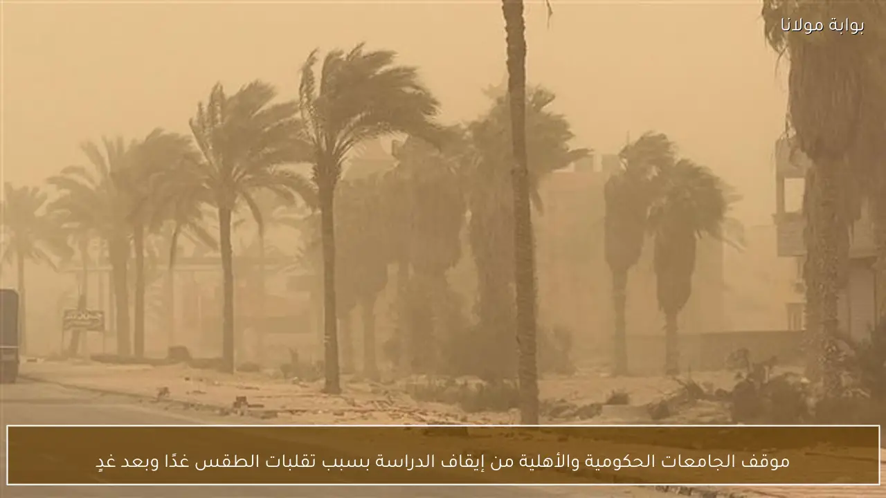 موقف الجامعات الحكومية والأهلية من إيقاف الدراسة بسبب تقلبات الطقس غدًا وبعد غدٍ