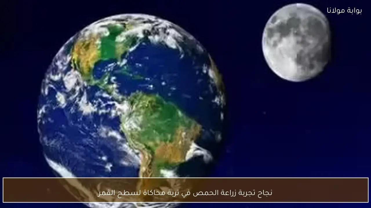 نجاح تجربة زراعة الحمص في تربة محاكاة لسطح القمر