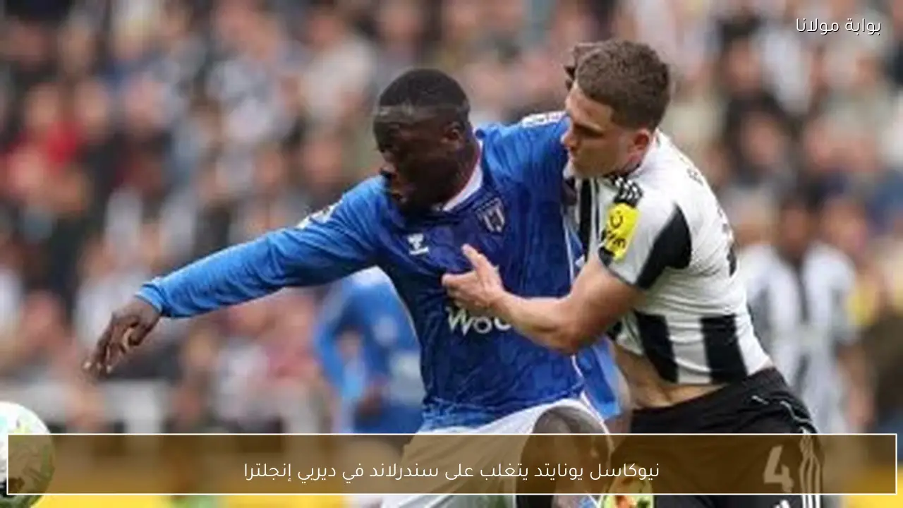 نيوكاسل يونايتد يتغلب على سندرلاند في ديربي إنجلترا