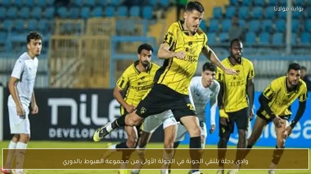 وادي دجلة يلتقي الجونة في الجولة الأولى من مجموعة الهبوط بالدوري