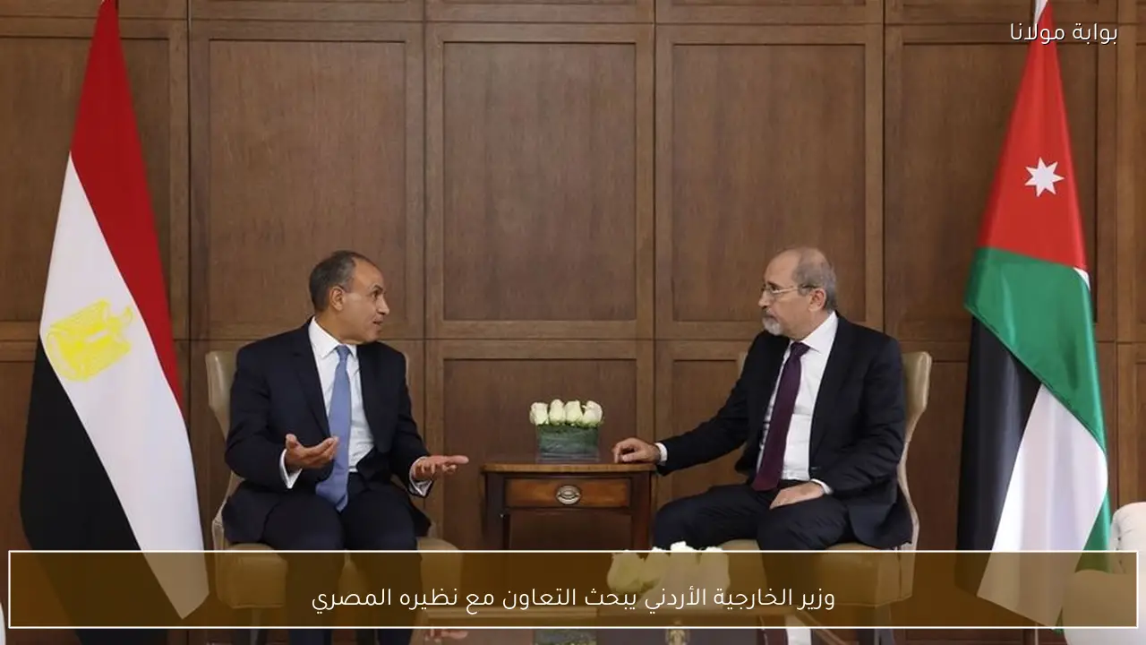 وزير الخارجية الأردني يبحث التعاون مع نظيره المصري